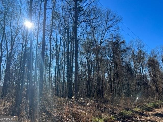 Listing photo 3 for 0 Creek Rd, Ashland AL 36251