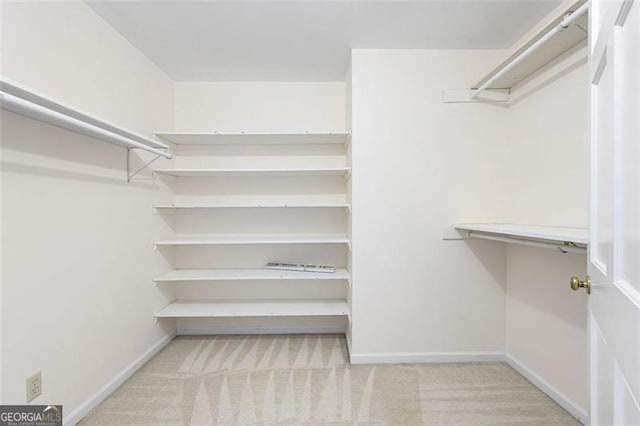 spacious closet with light carpet