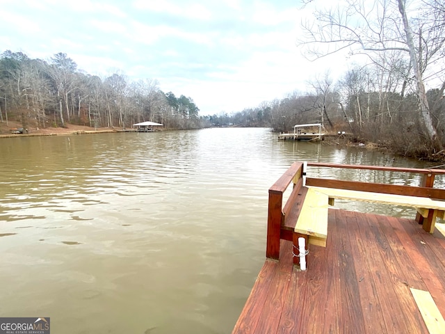 dock area with a water view