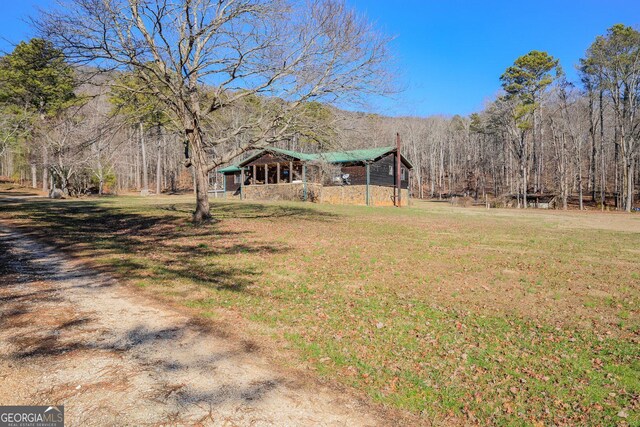 1324 Cooper Rd, Summerville, GA 30747 - view of yard