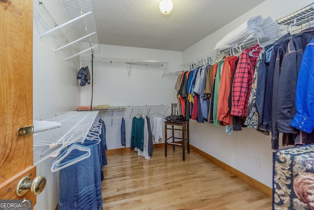 spacious closet with hardwood / wood-style flooring