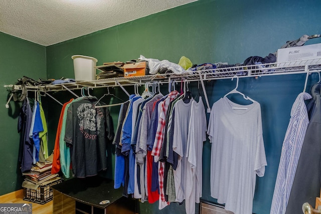 spacious closet featuring hardwood / wood-style flooring