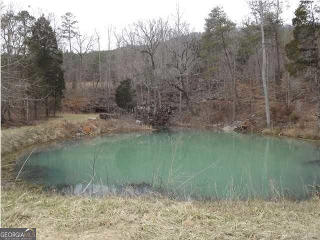 view of water feature