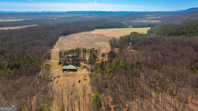 bird's eye view with a mountain view