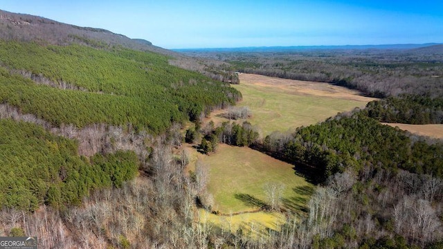 aerial view with a mountain view