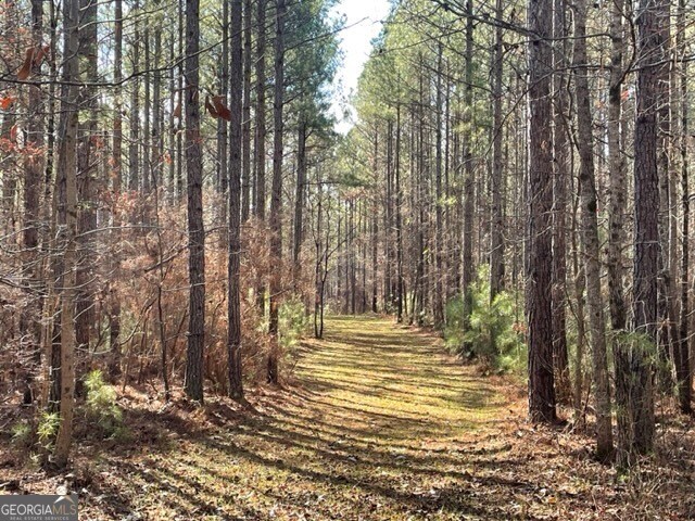 0 Banning Rd, Whitesburg GA, 30185 land for sale