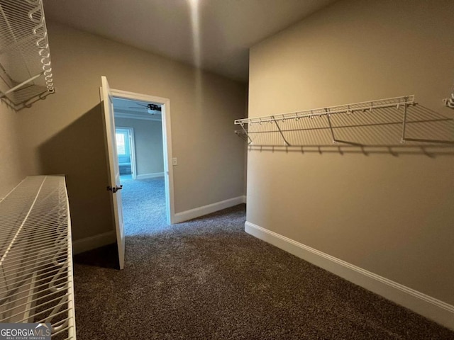 walk in closet with ceiling fan and dark carpet