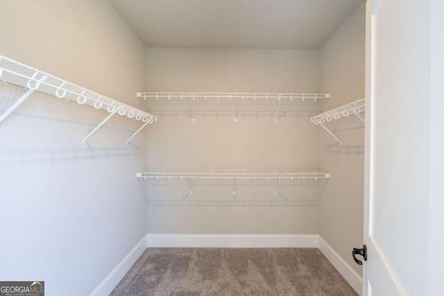 spacious closet with carpet flooring