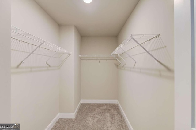 spacious closet featuring light carpet