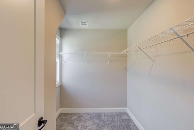 spacious closet featuring carpet flooring