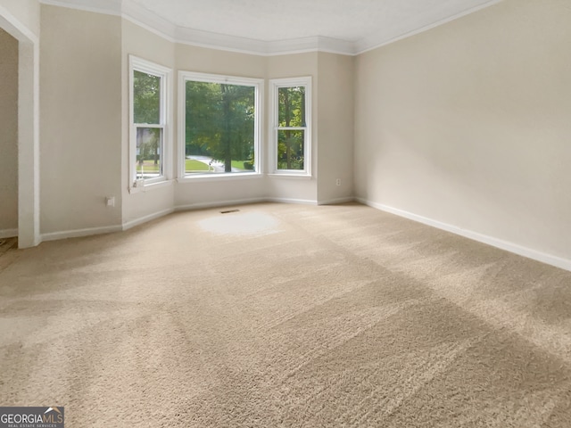 spare room featuring a textured ceiling, carpet floors, and ornamental molding