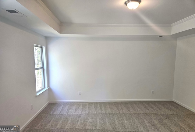 empty room with a tray ceiling, a wealth of natural light, ornamental molding, and carpet floors