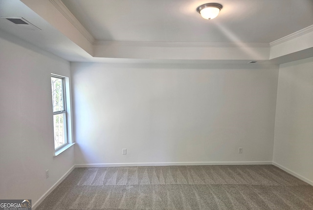 unfurnished room featuring a raised ceiling, crown molding, and carpet flooring