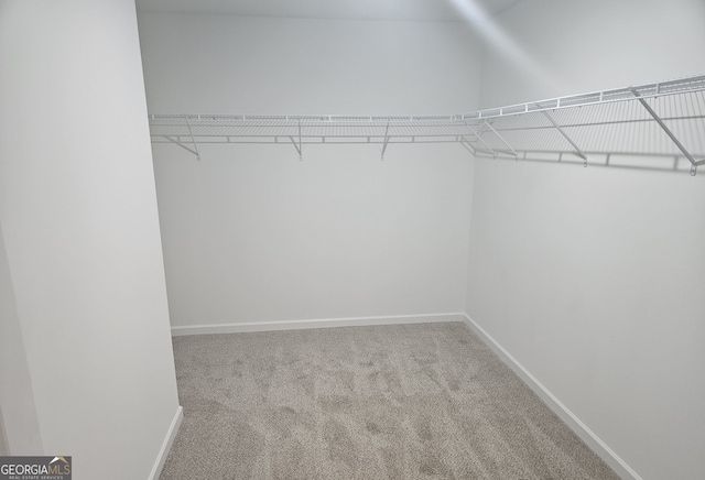 spacious closet with carpet flooring