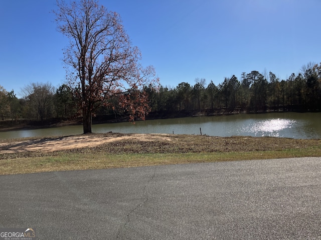 view of property view of water