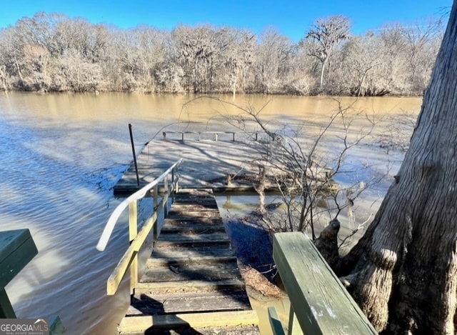 dock area with a water view