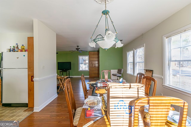 dining space with ceiling fan and wood-type flooring