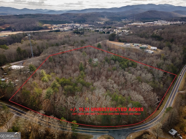 Listing photo 2 for 166 Windy Ridge Rd, Blue Ridge GA 30513