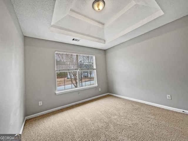 carpeted empty room featuring a raised ceiling and a textured ceiling