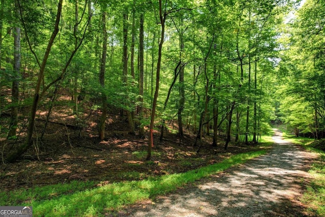 Listing photo 3 for LOT1972 Nancy Ct, Ellijay GA 30540