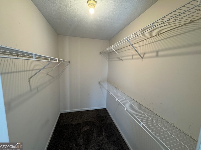 walk in closet with dark carpet