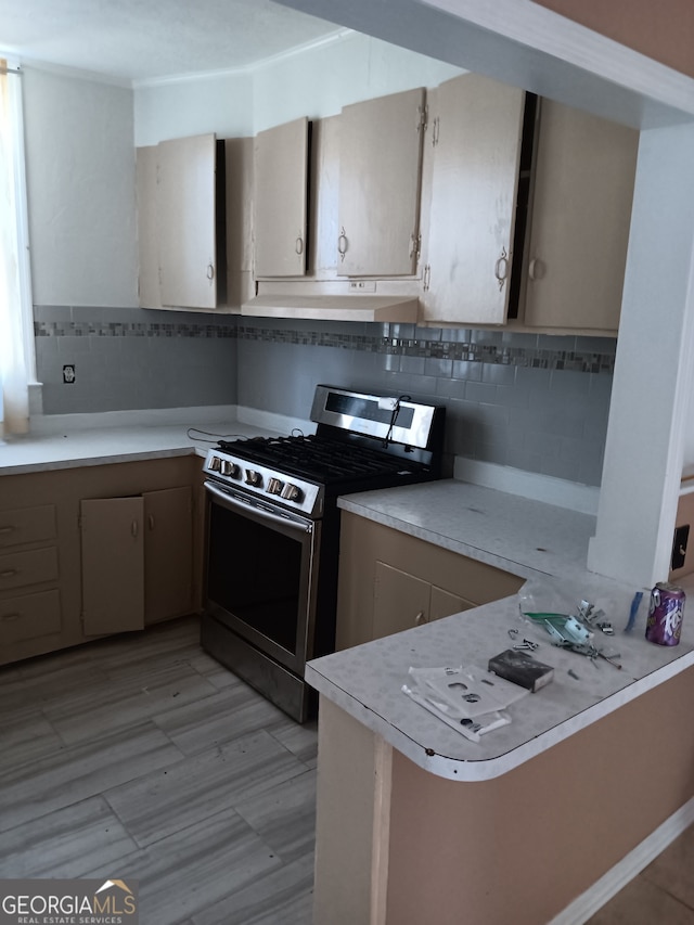 kitchen featuring gas range oven and tasteful backsplash