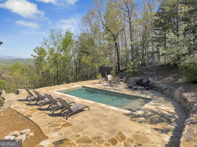 view of pool featuring a patio area