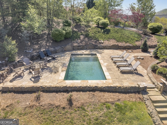 view of pool featuring a patio area