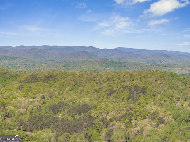 view of mountain feature