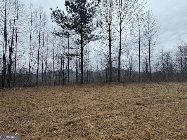 LOT10 Chatuge Mnr, Young Harris GA, 30582 land for sale