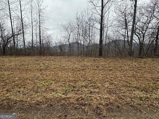 Listing photo 2 for LOT10 Chatuge Mnr, Young Harris GA 30582