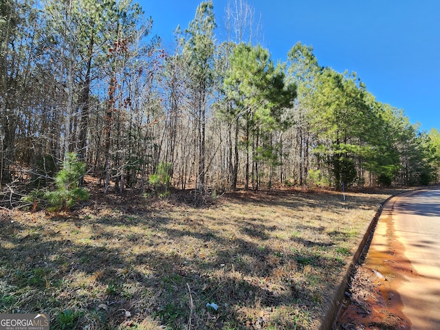 Listing photo 2 for LOT63 Beaty Cir, Flovilla GA 30216