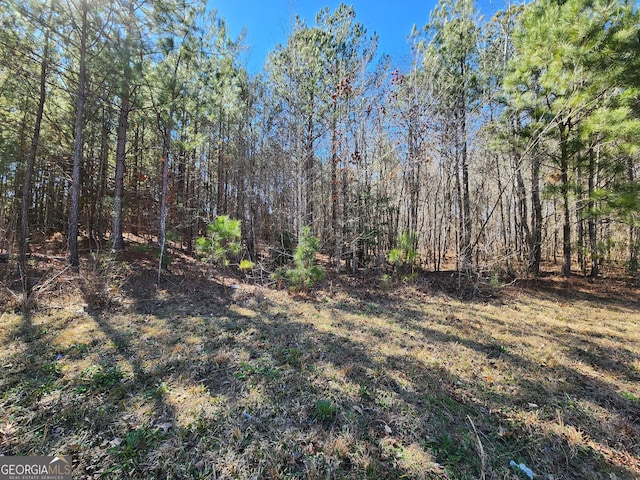 Listing photo 3 for LOT63 Beaty Cir, Flovilla GA 30216