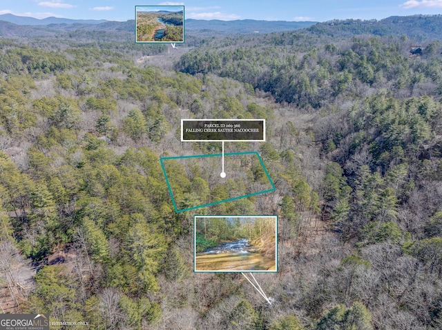 0 Falling Crk, Sautee Nacoochee GA, 30571 land for sale