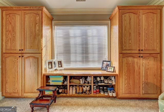 living area with ornamental molding and light colored carpet