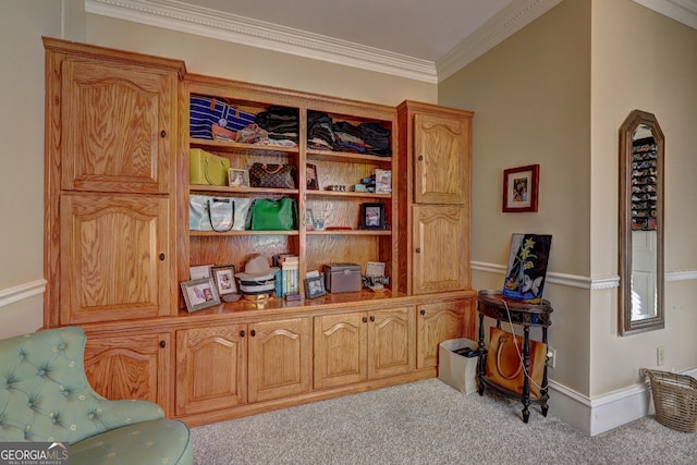 living area with light colored carpet and ornamental molding