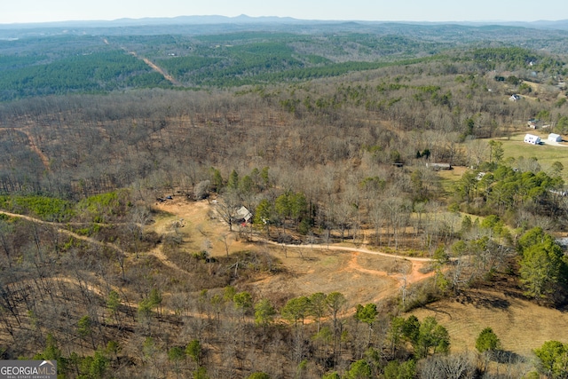 view of drone / aerial view