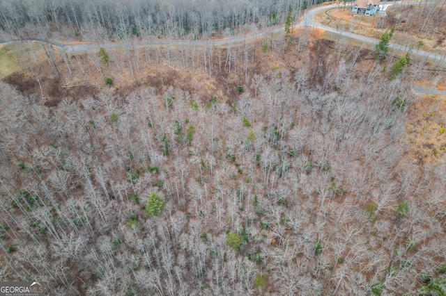 Listing photo 2 for LOT133 Blackburn Way, Blairsville GA 30512