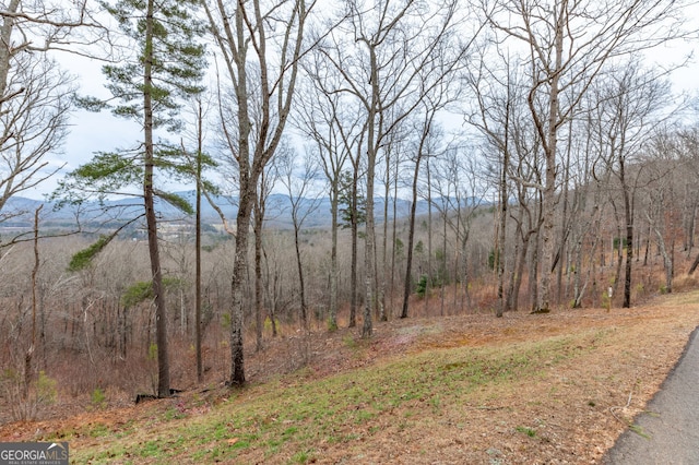 Listing photo 3 for LOT133 Blackburn Way, Blairsville GA 30512