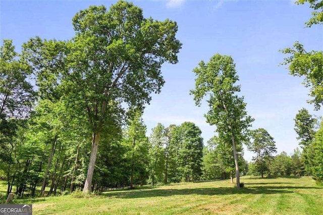 view of local wilderness