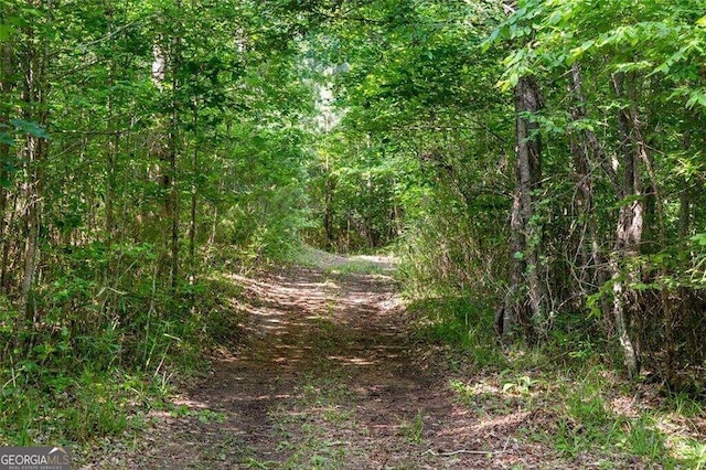 view of local wilderness