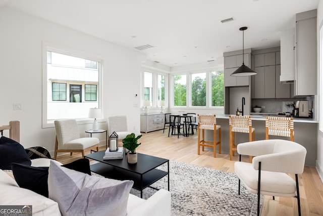 living room featuring light hardwood / wood-style flooring