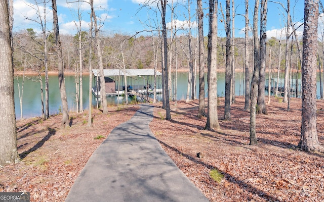 dock area with a water view