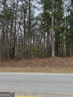 Listing photo 3 for 5561 W G Robinson Rd, Gainesville GA 30506