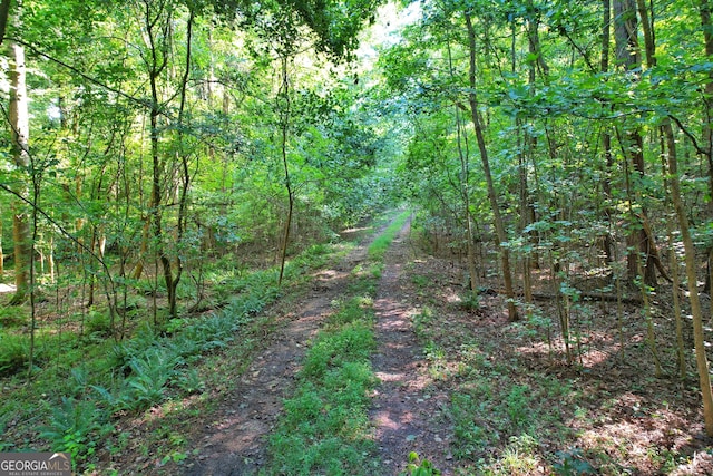 Listing photo 2 for 198.62/-ACRES Apalachee Woods Trl, Buckhead GA 30625