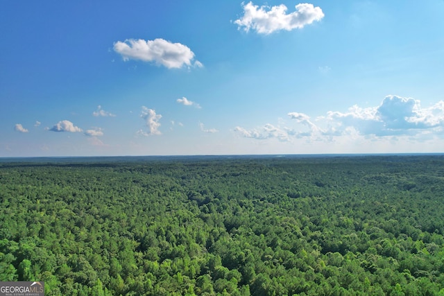 Listing photo 3 for 198.62/-ACRES Apalachee Woods Trl, Buckhead GA 30625