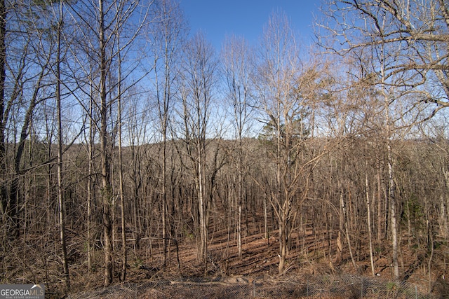 view of local wilderness