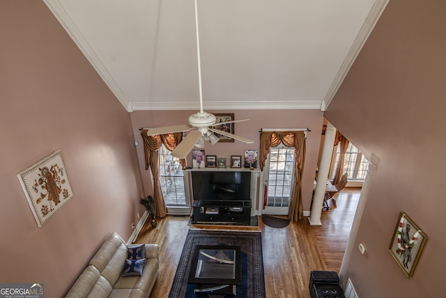 living room featuring ceiling fan, dark wood-type flooring, and crown molding