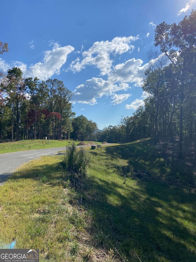 Listing photo 3 for LOT41 Ridge Dr, Morganton GA 30560