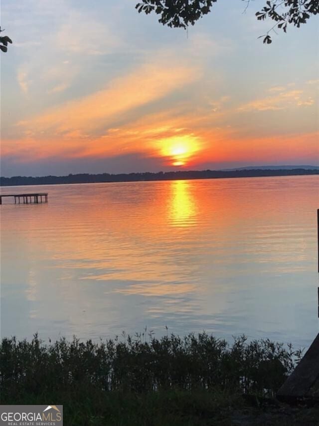 property view of water featuring a dock